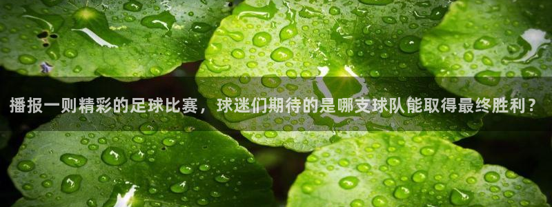 nba直播吧24直播网：播报一则精彩的足球比赛，球迷们期待的是哪支球队能取得最终胜利？