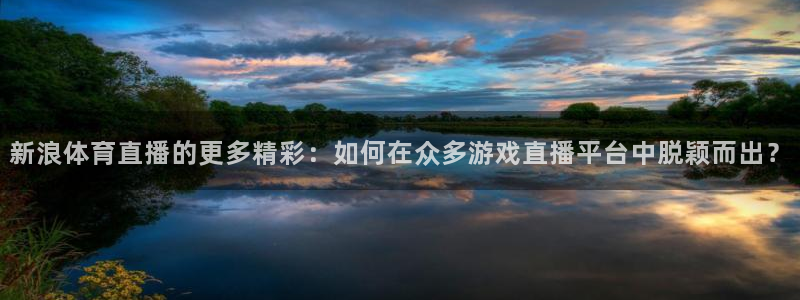 篮球直播在线直播观看免费直播吧：新浪体育直播的更多精彩：如何在众多游戏直播平台中脱颖而出？