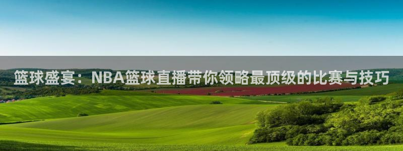 嗨球直播篮球nba直播吧：篮球盛宴：NBA篮球直播带你领略最顶级的比赛与技巧