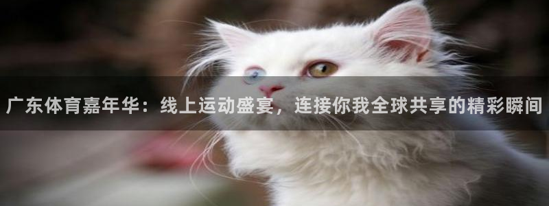 一起看直播吧：广东体育嘉年华：线上运动盛宴，连接你我全球共享的精彩瞬间
