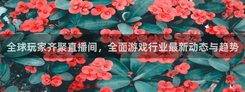 98直播吧篮球：全球玩家齐聚直播间，全面游戏行业最新动态与趋势