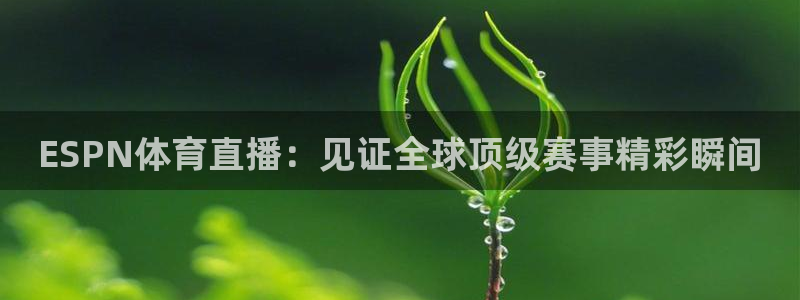 乐球吧足球直播吧：ESPN体育直播：见证全球顶级赛事精彩瞬间