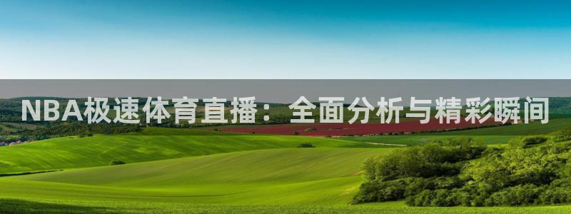 玩球直播吧：NBA极速体育直播：全面分析与精彩瞬间