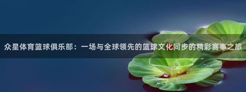 新足球直播吧体育直播：众星体育篮球俱乐部：一场与全球领先的篮球文化同步的精彩赛事之旅
