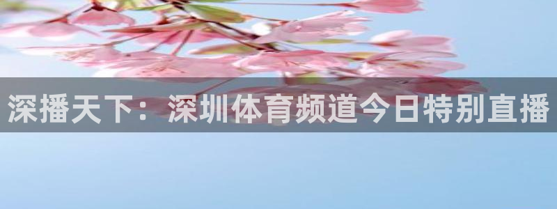 98看球直播吧：深播天下：深圳体育频道今日特别直播