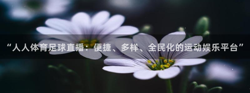 足球直播吧360直播雨燕直播：“人人体育足球直播：便捷、多样、全民化的运动娱乐平台”
