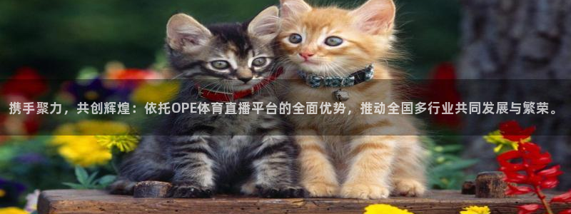 nba在线直播免费观看直播吧：携手聚力，共创辉煌：依托OPE体育直播平台的全面优势，推动全国多行业共同发展与繁荣。