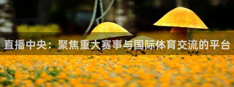 足球直播吧24：直播中央：聚焦重大赛事与国际体育交流的平台
