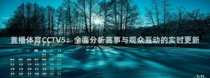 jrs英超直播吧：直播体育CCTV5：全面分析赛事与观众互动的实时更新